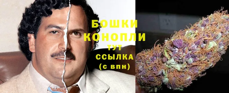 Бошки Шишки Bruce Banner  Гаврилов Посад 